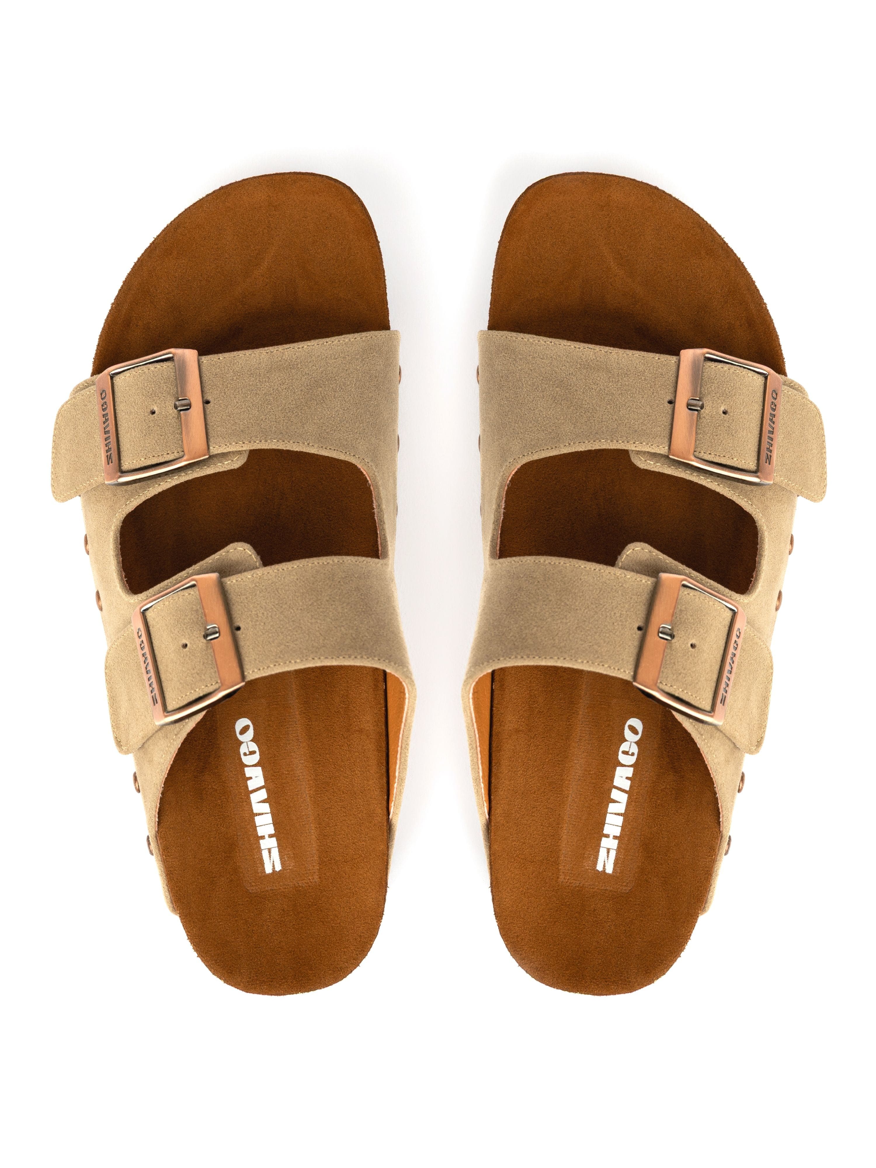 Ava Platform - Image 3